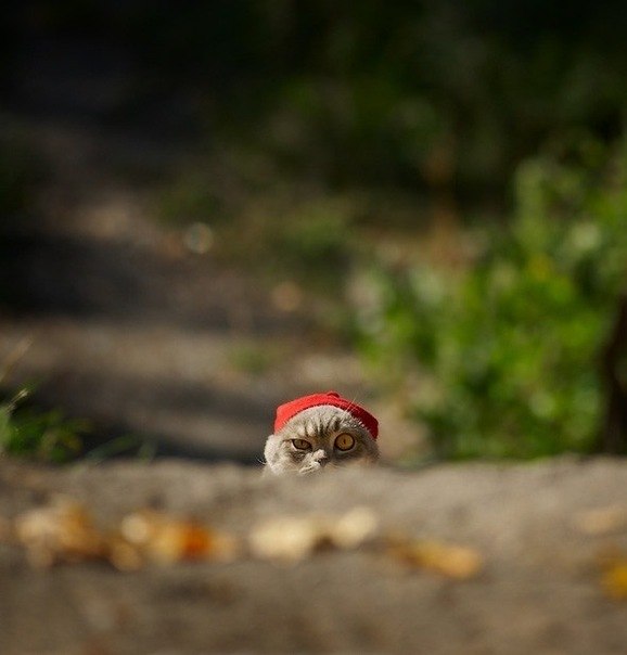 №107, Бекжан Ибраев, Алматы, Казахстан №107, Бекжан Ибраев, Алматы, Казахстан