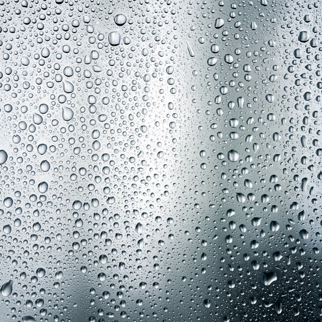 Фарид Сулейманов | Калининград