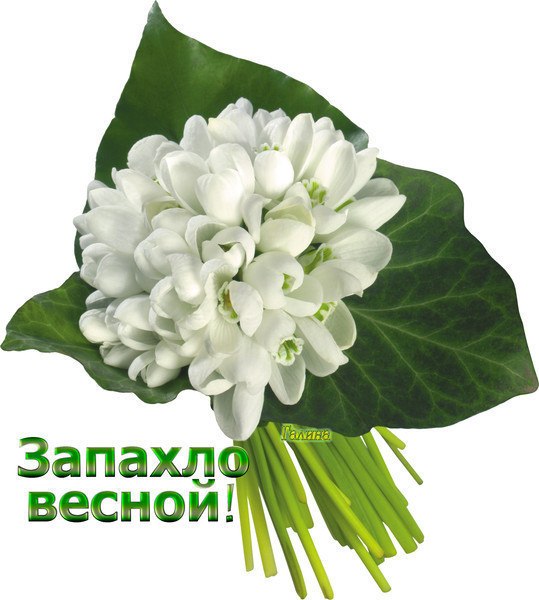 Galina Kiosova | Енакиево