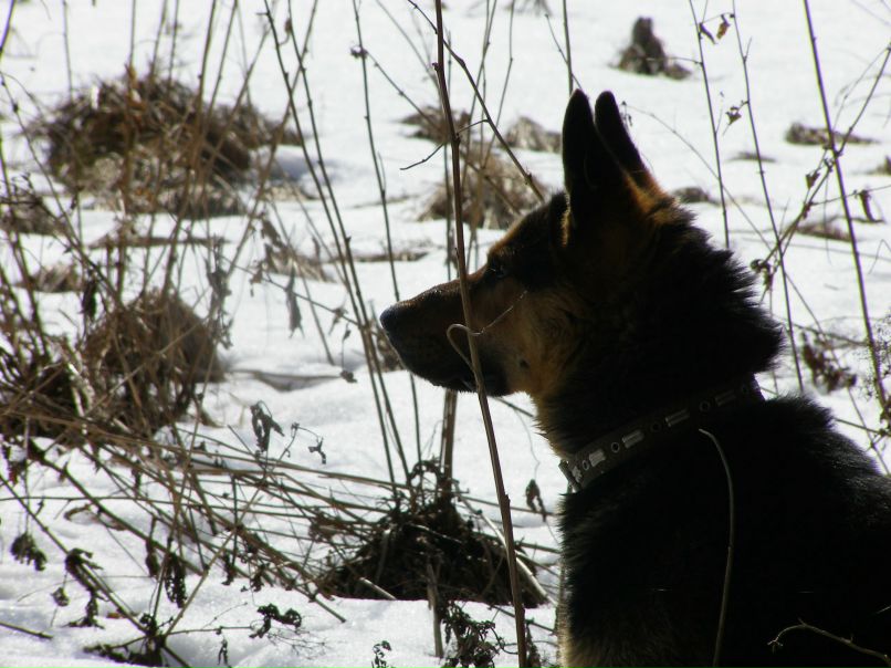 Макс Турецких | Йошкар-Ола