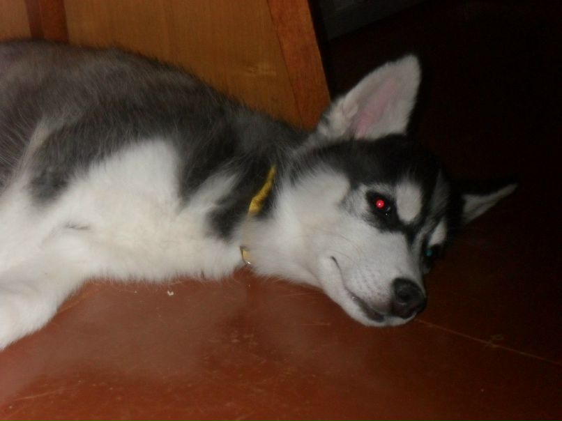 Ирина Вакуленко | Москва