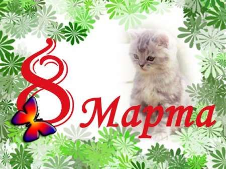 Наталия Ковалёва | Киев