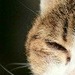 Денис Костенко фотография #38