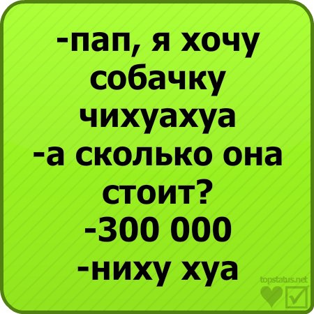 Андрій Поворозник | Тернополь