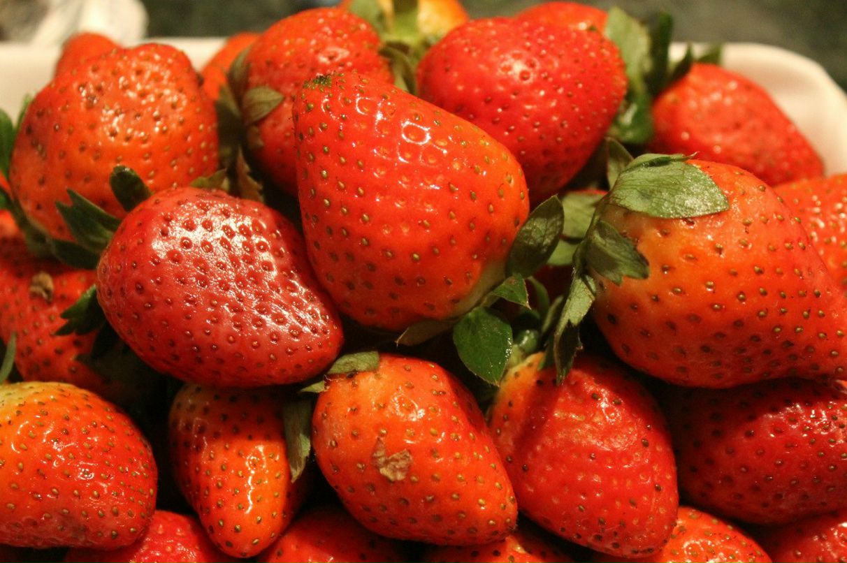 Андрей Комолов | Электросталь