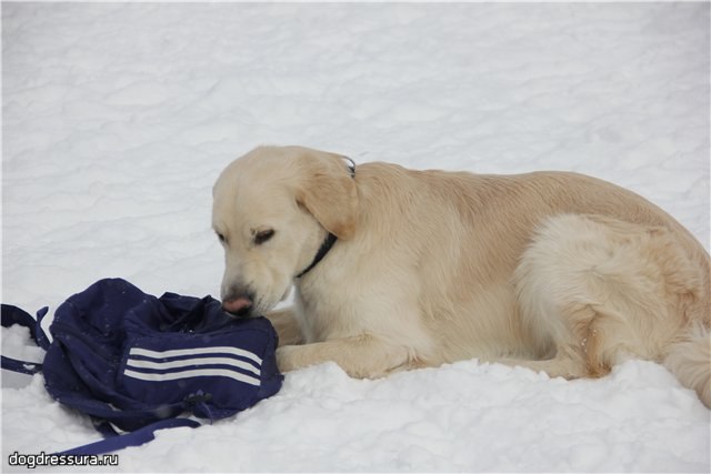 Ольга Хвостовская | Екатеринбург