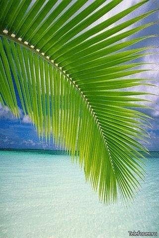 Мариша Опанюк | Одесса