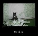 №11 Инна Пластинина : профиль, фото, статус - ВКонтакте