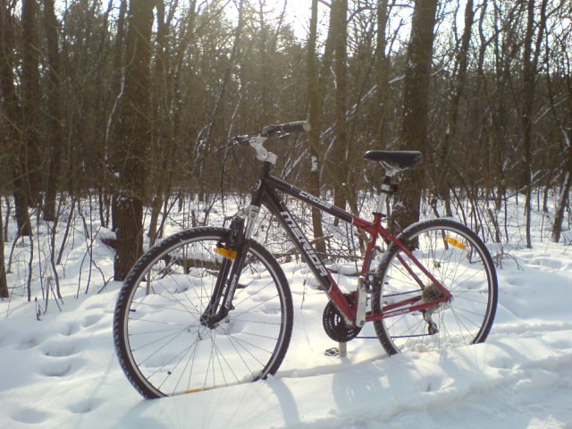 Виталий Антюшин | 