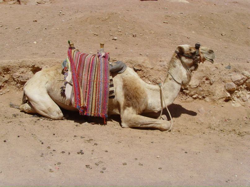 Лидия Вайланд | Leipzig