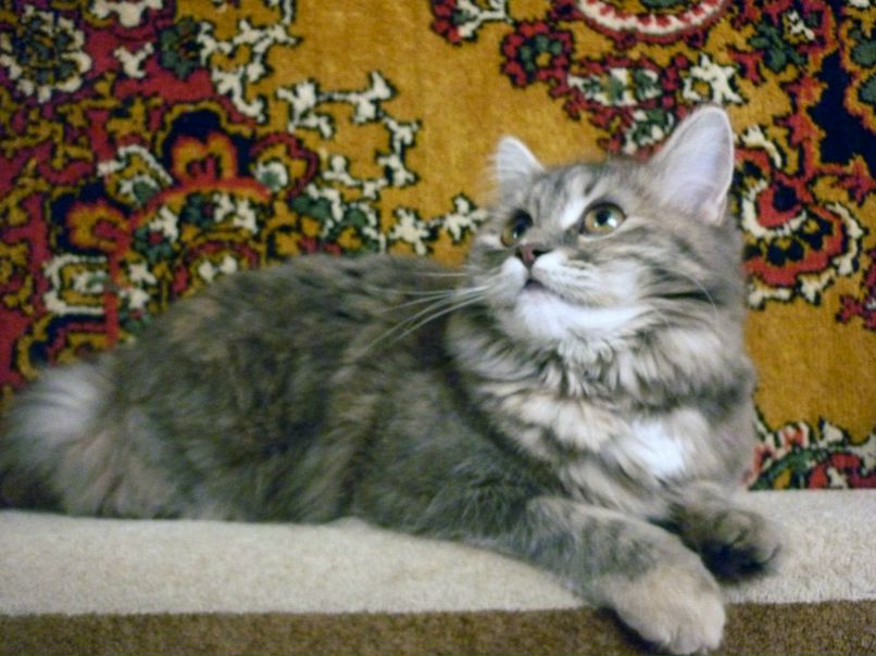 Евгения Кулешова | Тамбов