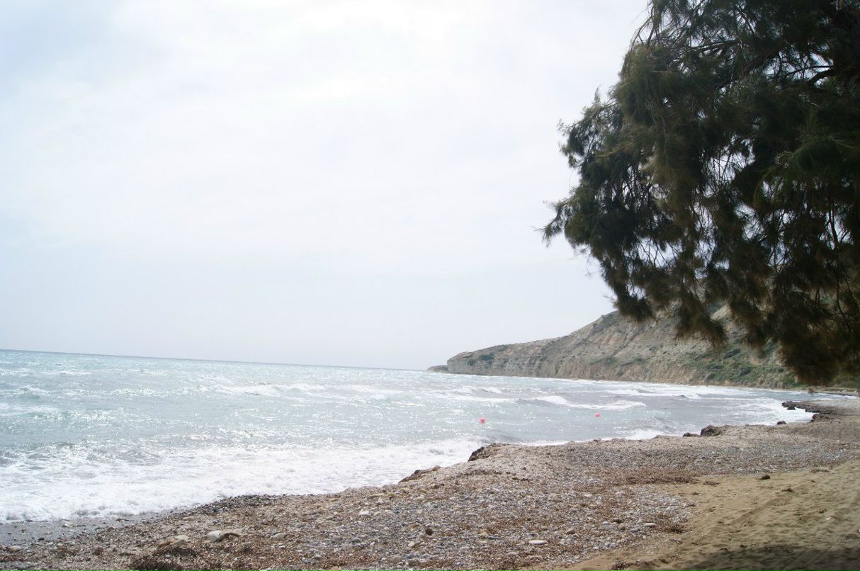 Анатолий Зырянов | Москва