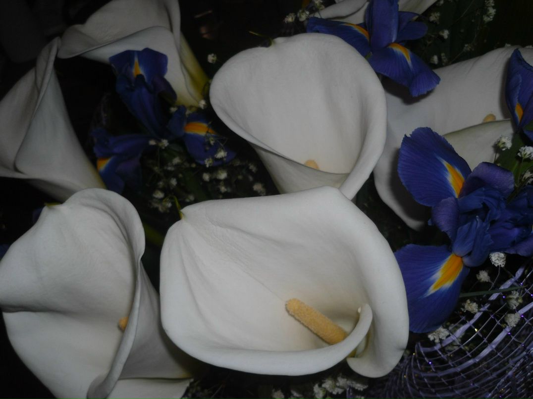 Валентина Быкова ☜(ړײ)☞ TINKA | Львов