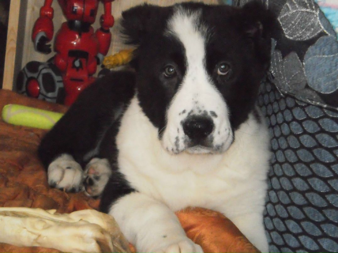 Юленька Love | Зеленоград