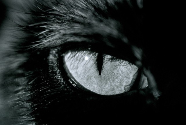 Alex Big | Нижний Новгород