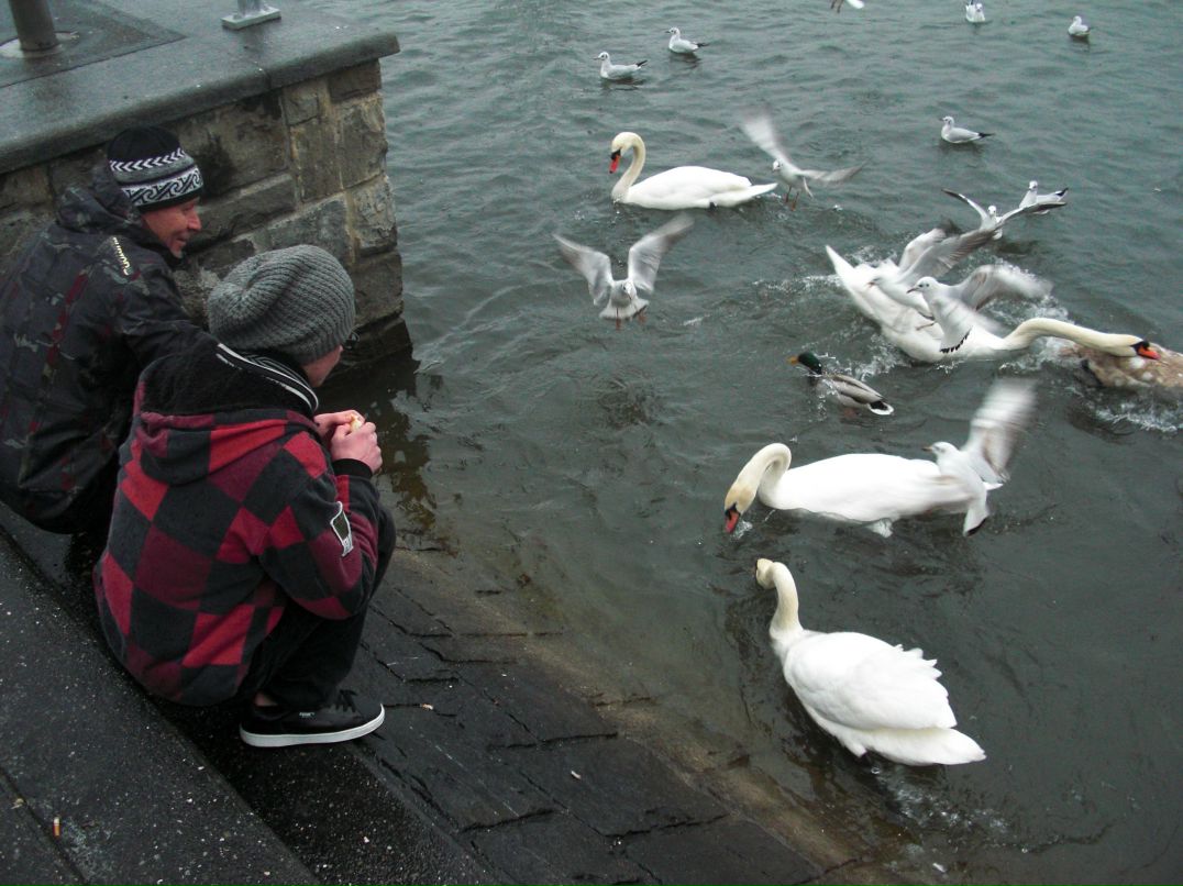 Елена Иванова | Алматы