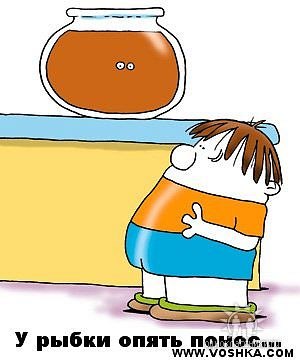 №7, Владимир Шибанов №7, Владимир Шибанов