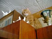 Фотография Юрий Сполохов