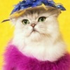 Аватар: Ленчик Салтыкова
