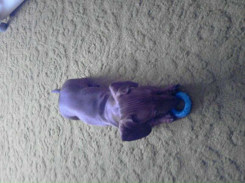 Дашка Шишкина | Самара