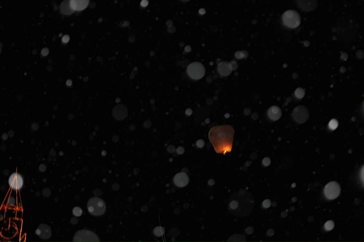 Эльвира Федоринина | Москва