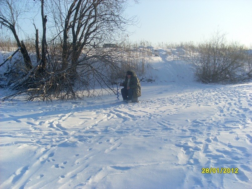 Галина Плотникова | Санкт-Петербург