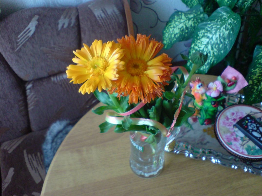 Серёга Посников Marlon Brando | Санкт-Петербург