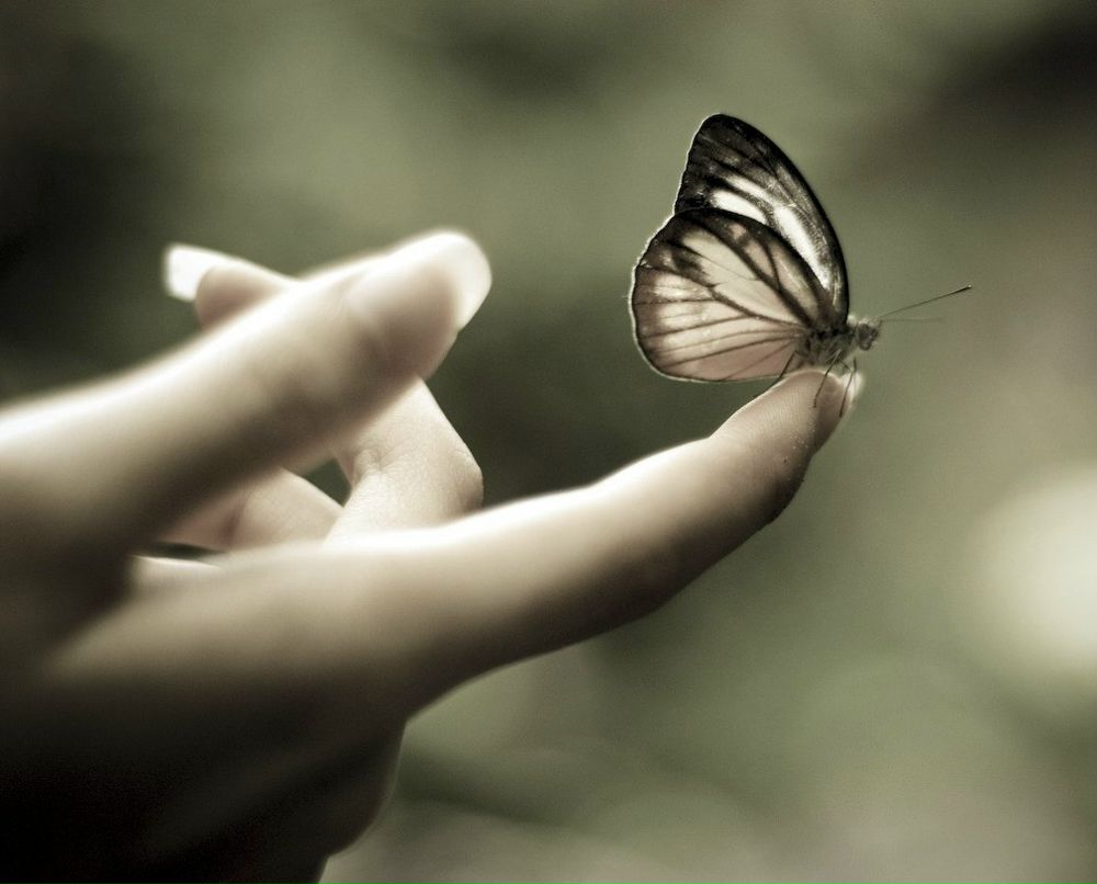 Таня Ільчишин | Тлумач