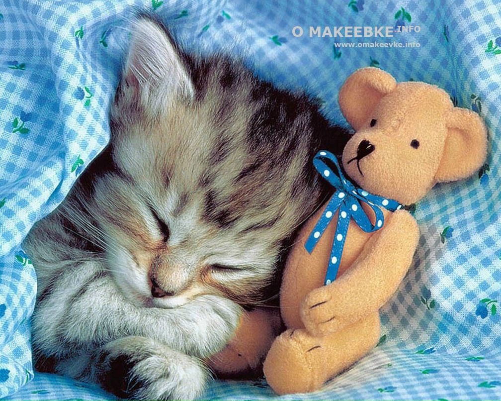 Владимир Горячев | Санкт-Петербург