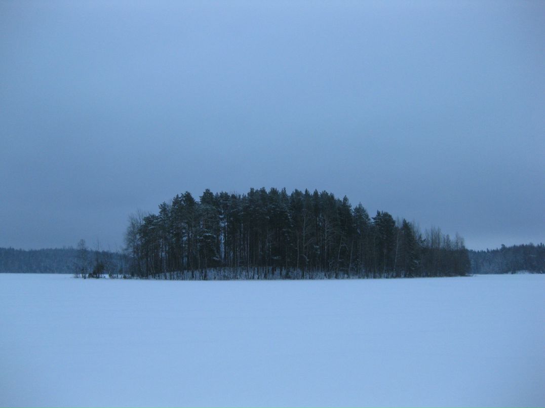 Елена Задворная | Онега