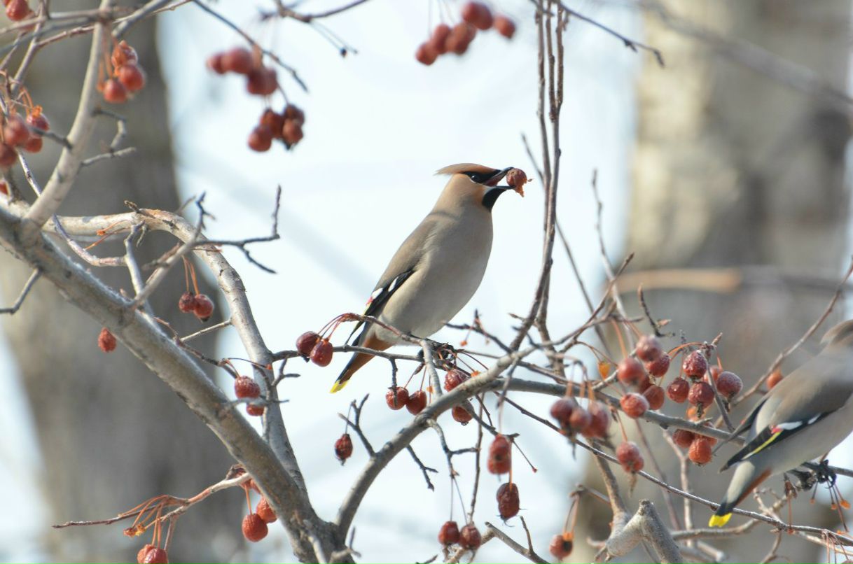 Людмила Дюднева | Тюмень