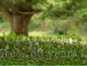 Наталья Васильева | Москва