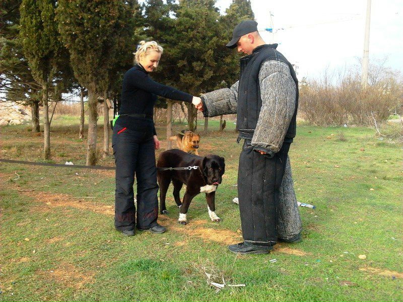 №77, Руслан Гордеев, Львов №77, Руслан Гордеев, Львов