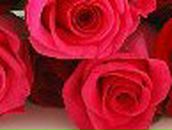 Андрей Лукин | Санкт-Петербург