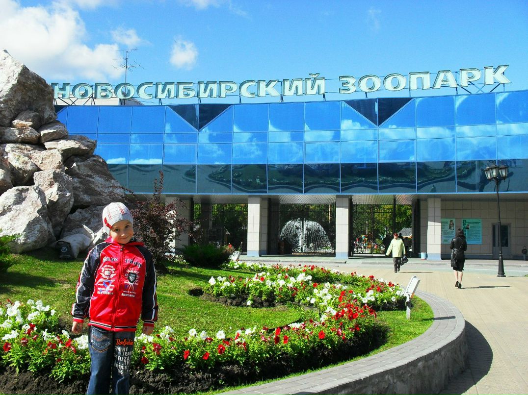 Полинка Децик ❤❤❤ | Новосибирск