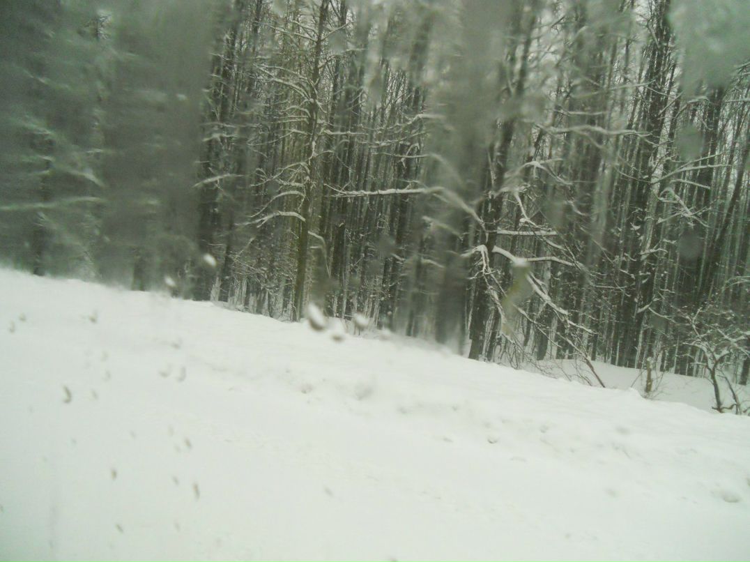 Витя Власов | Москва