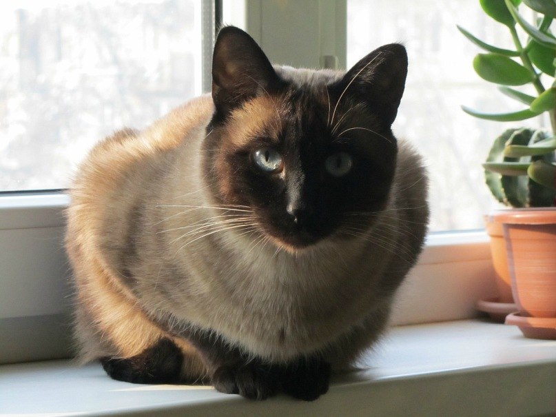 Баур Ермекбаев | Алматы