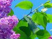 Юлия Кравцова | 