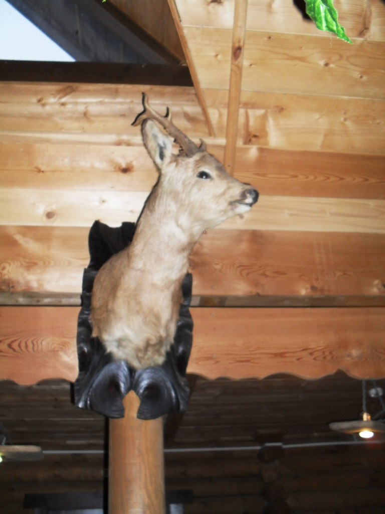 Катя Капитанова | Минск