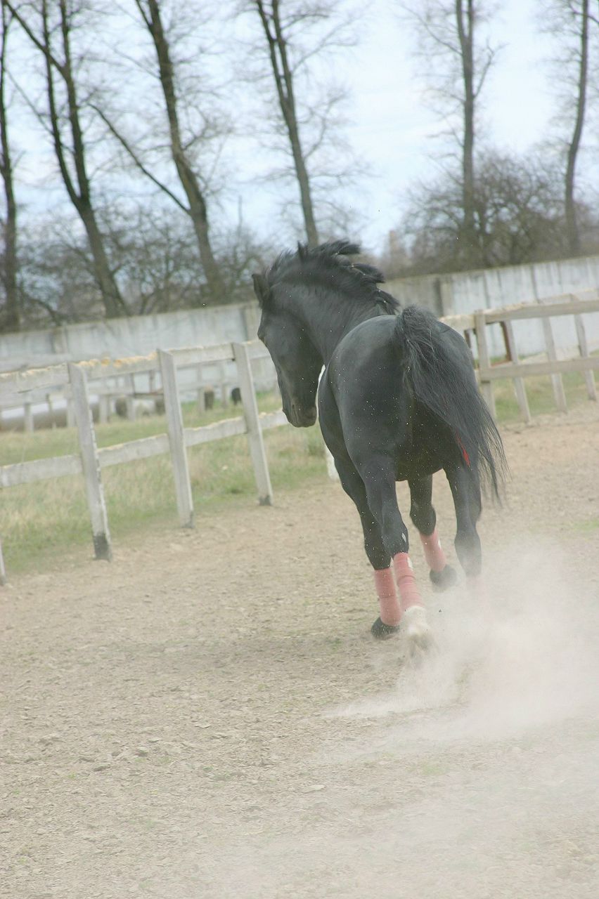 Лена Ткачук | Киев