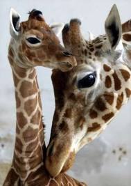 №69, Микола Сарри, 34 года, Харьков №69, Микола Сарри, 34 года, Харьков