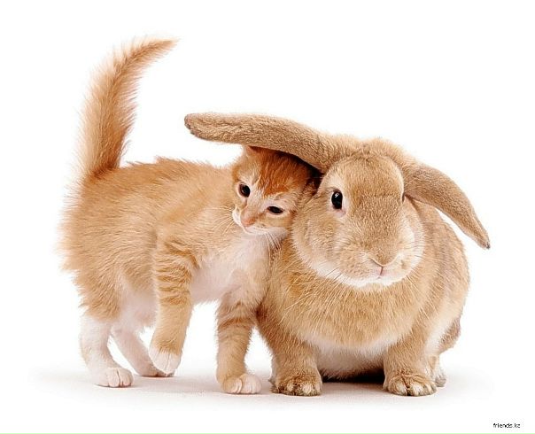 №20, Владислав Киселев №20, Владислав Киселев