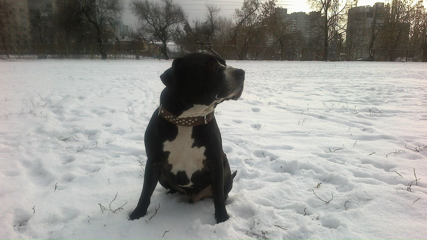 Инна Кравчук EMMI | Киев