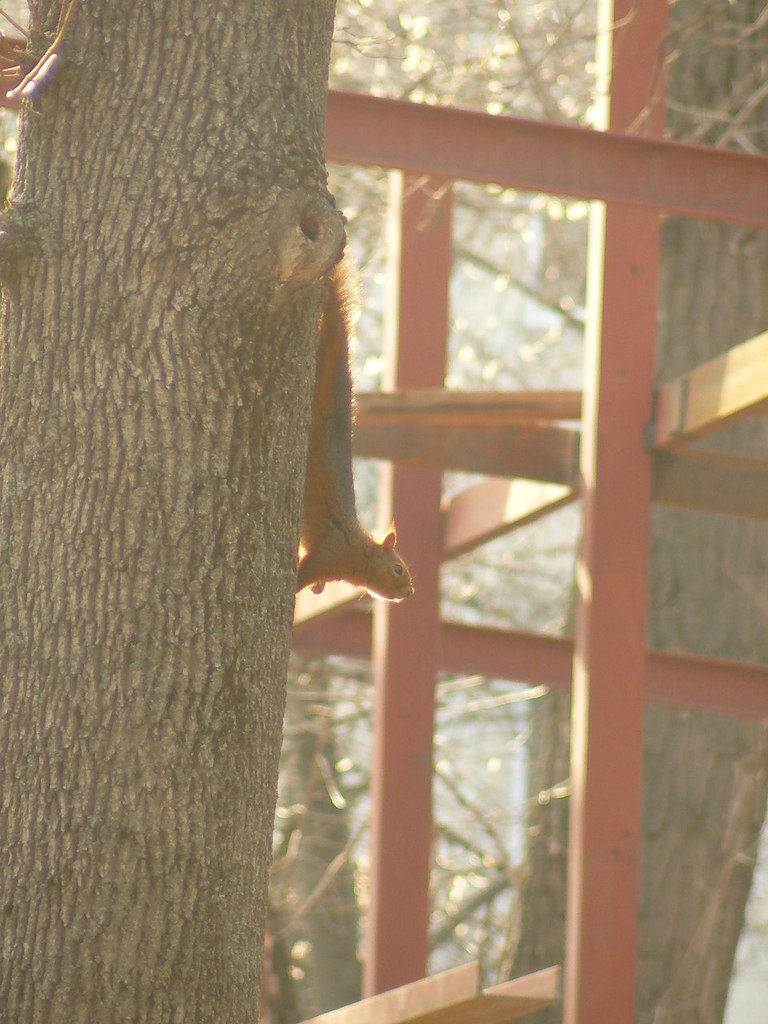 Павел Кухтин | Волгодонск