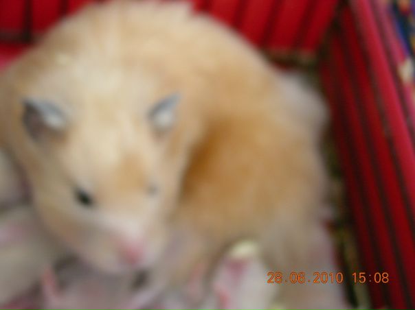 №3, Настюшка Седень, Киев №3, Настюшка Седень, Киев