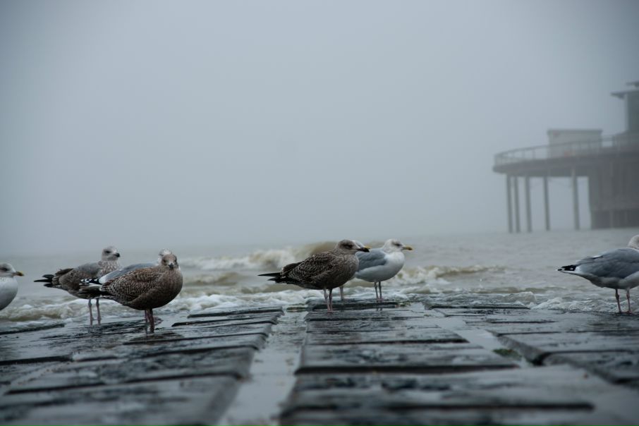 №97, Dimitry Kumundzhiev, 34 года, Краснодар №97, Dimitry Kumundzhiev, 34 года, Краснодар