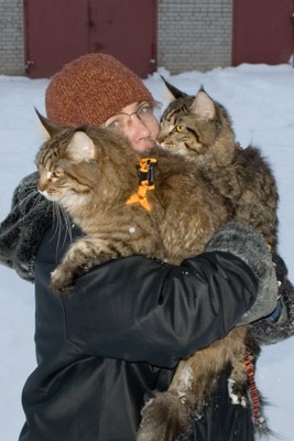 №83, Svetlana Alekseeva, Санкт-Петербург №83, Svetlana Alekseeva, Санкт-Петербург