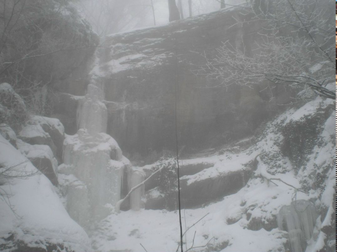 Коха Воркентін | Херсон