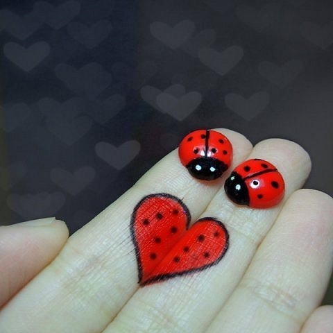 №18, Дарья Максимович, Каменское / Днепродзержинск №18, Дарья Максимович, Каменское / Днепродзержинск