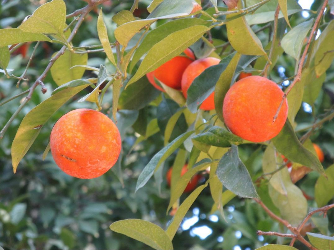 Татьяна Жбанова | Тюмень